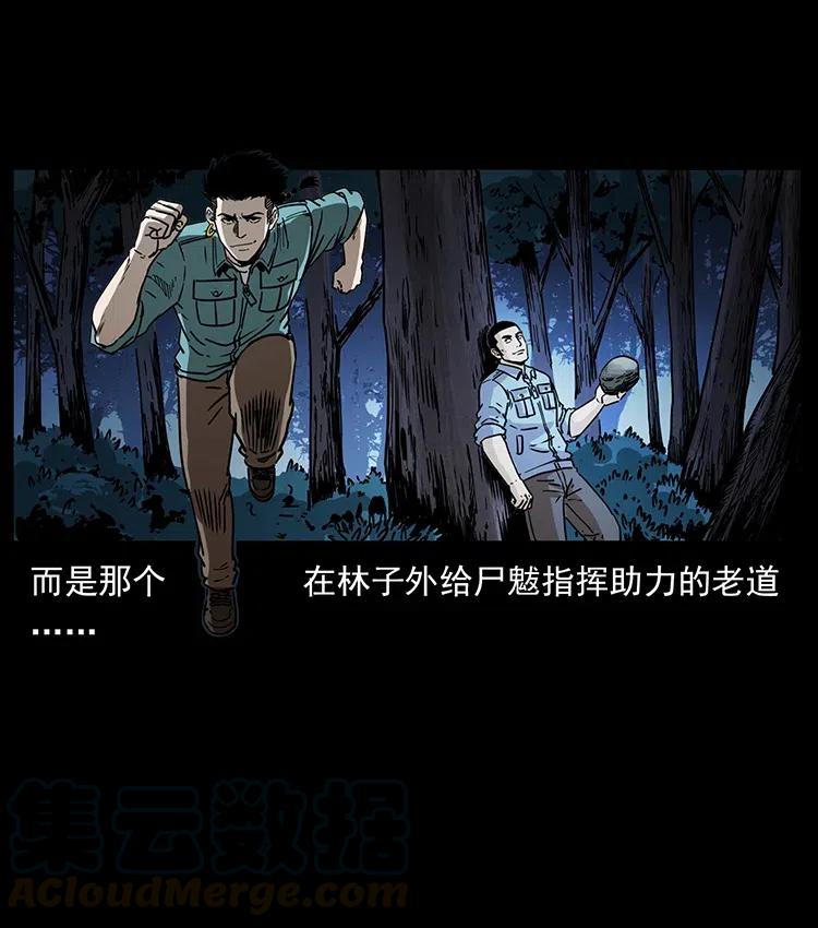 363 丹鼎45