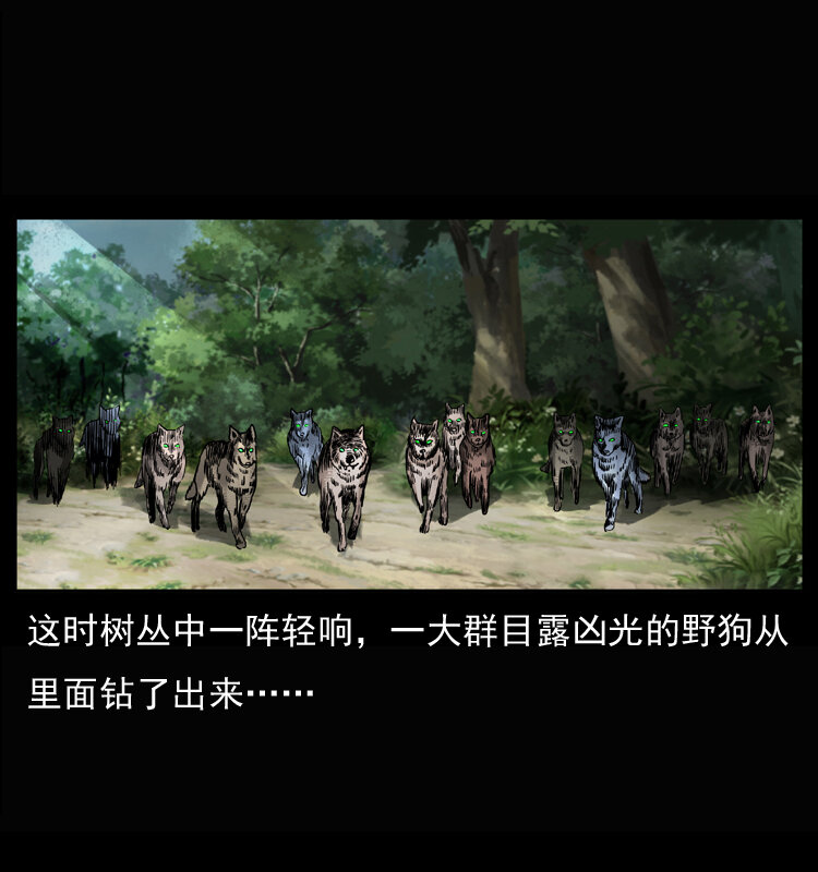 037 百雀丹（下）9