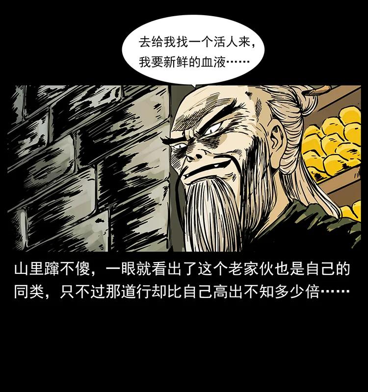 226 铁棺冢33
