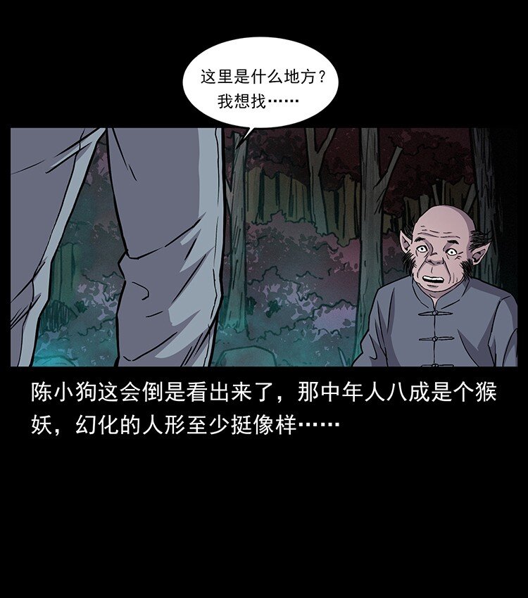 490 黑暗森林35
