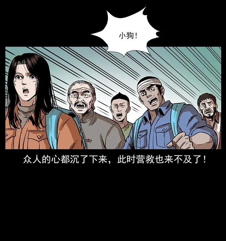 288 强者归队！50