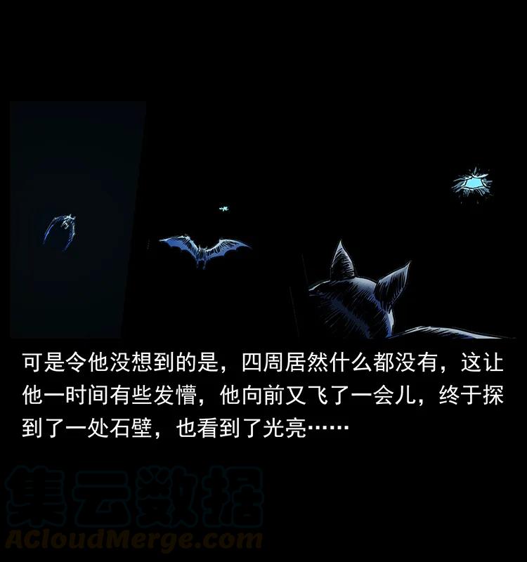 270 黑暗循环80