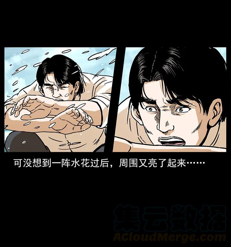 231 东海木龙84