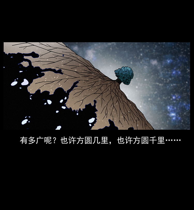 482 以树为启点74