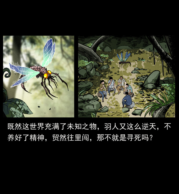 441 羽人之境15