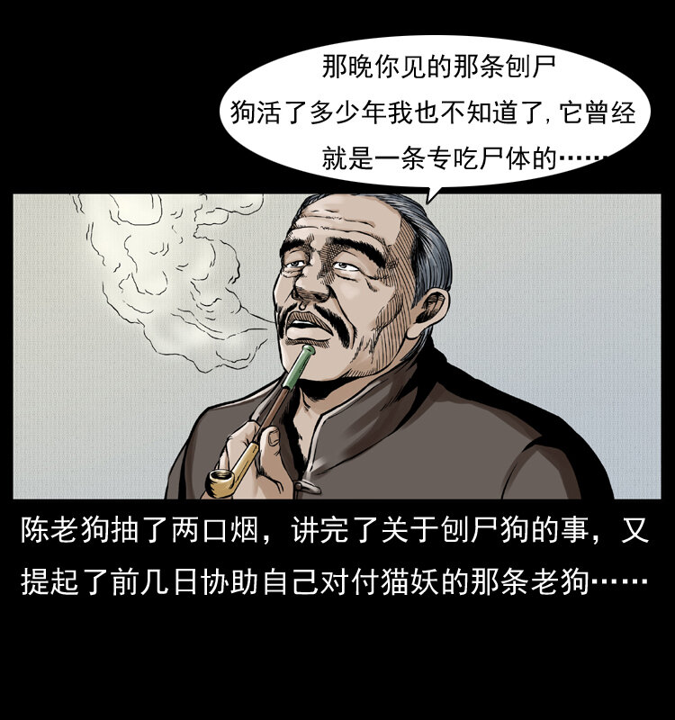 005 刨尸狗17