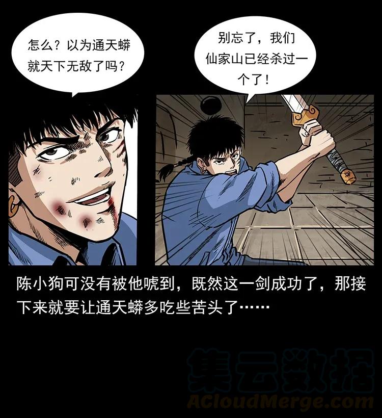 288 强者归队！12