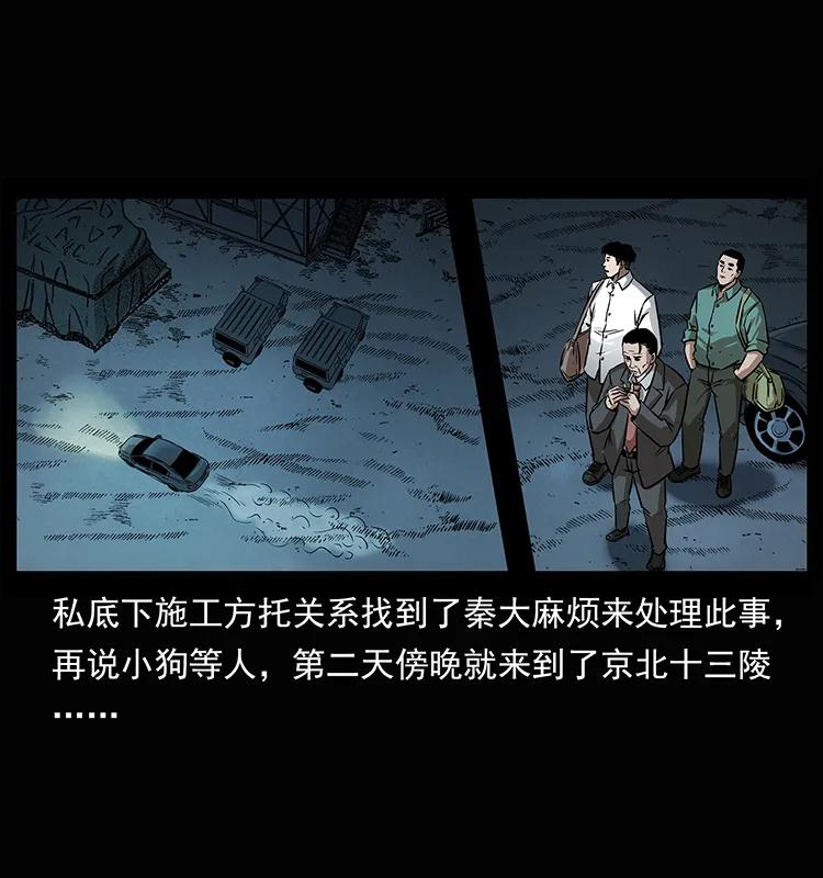 207 尸王！65