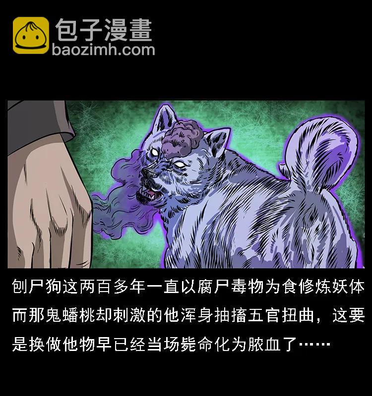 084 刨尸狗的妖化之路23