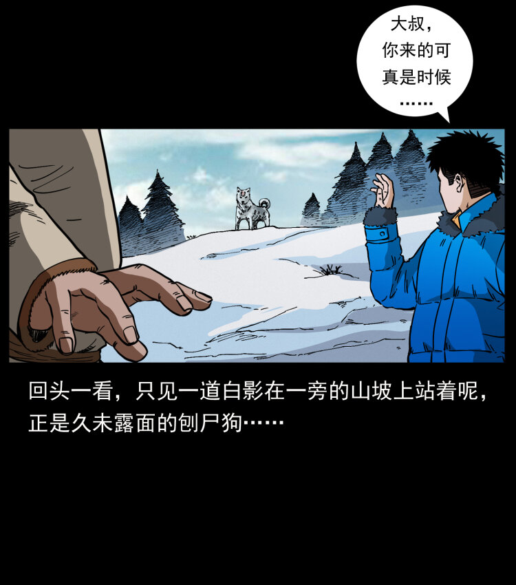 469 冻土的世界71