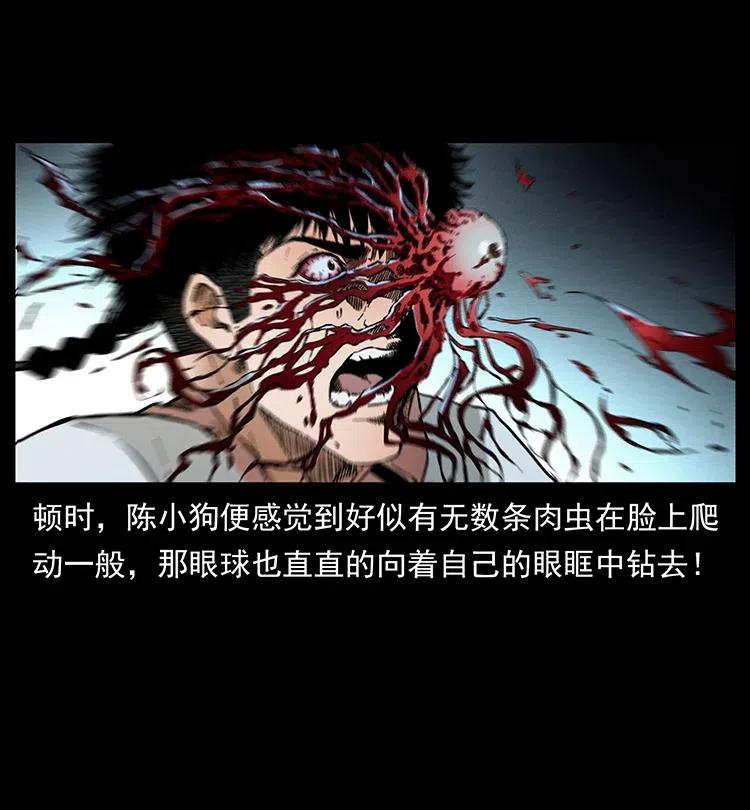 377 尸眼79