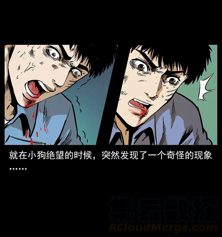 287 权谋80