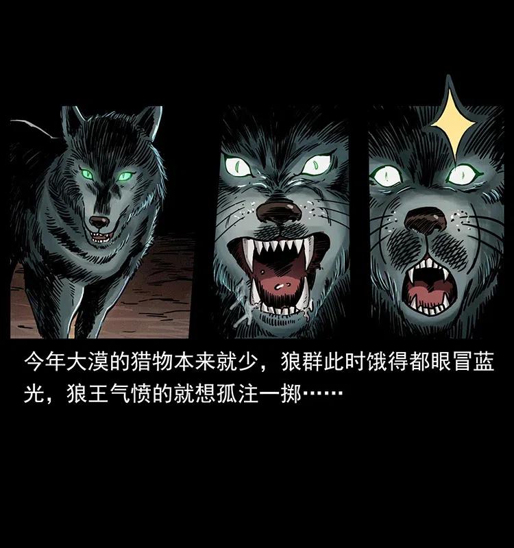 318 沙漠秃鹰42