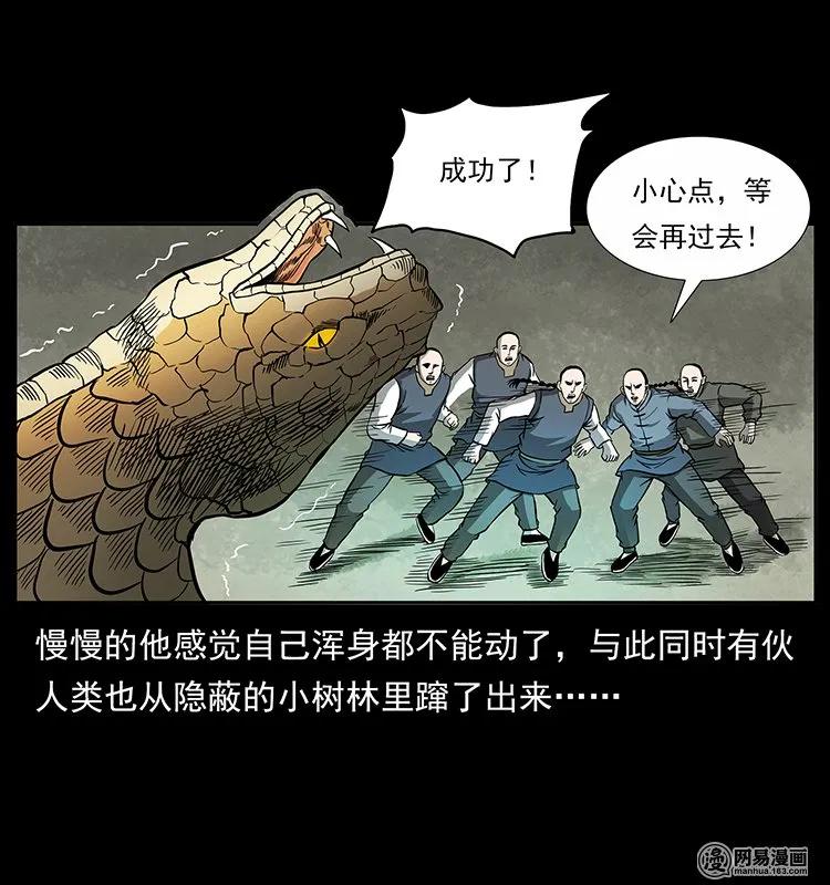 139 巨兽凶蟒51