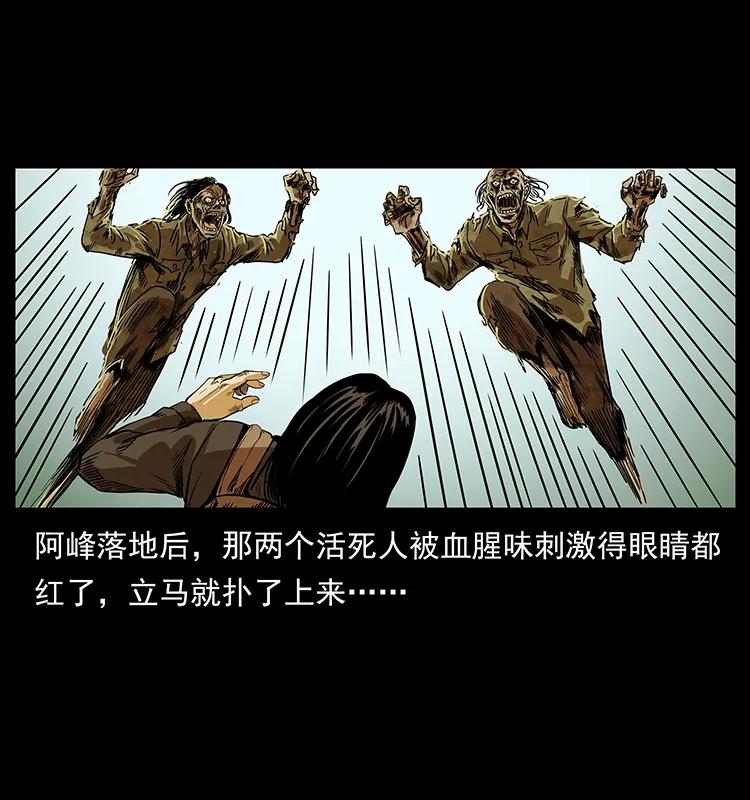 216 守墓恶灵79