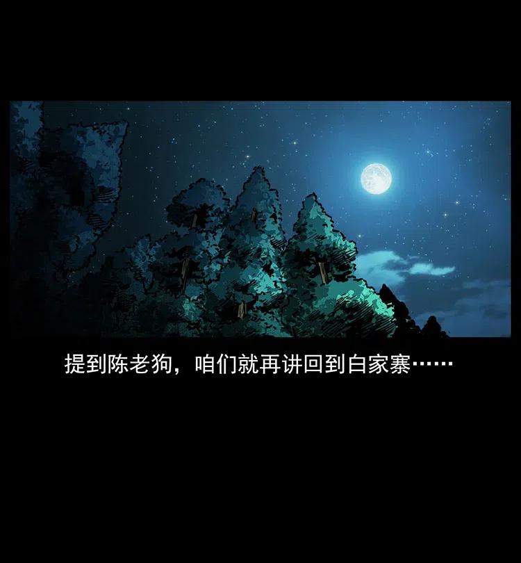 342 白毛僵尸73