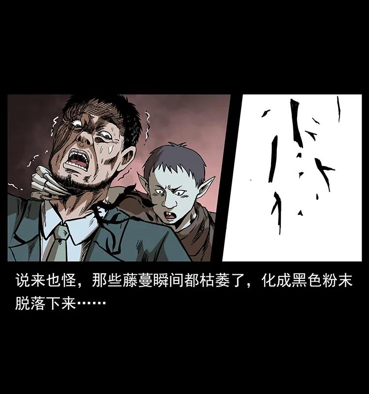 193 草蛊婆15