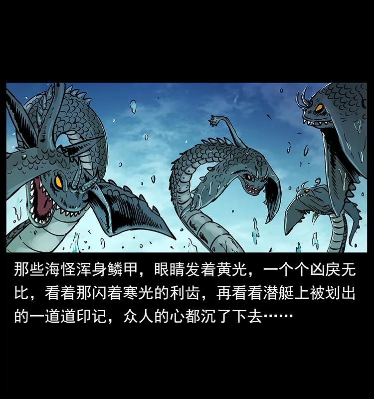 229 东海龙骨77