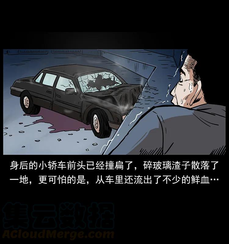 230 生桩28