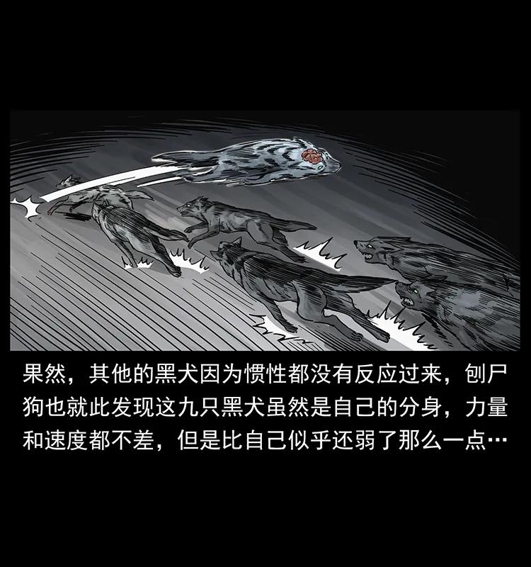 252 危机！危机13