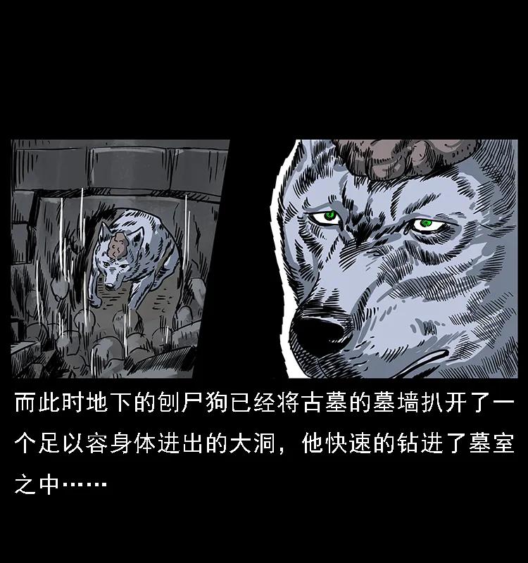 084 刨尸狗的妖化之路41