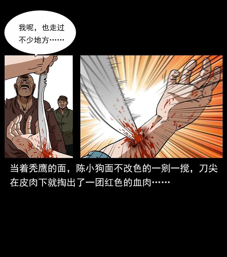 317 大漠凶兽41