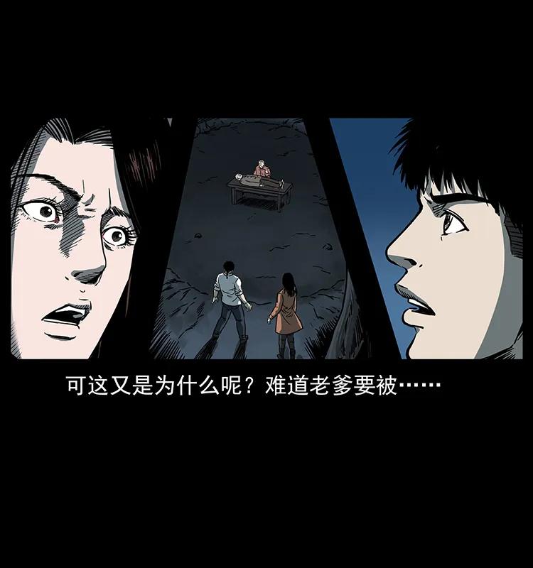 260 阴阳两世10