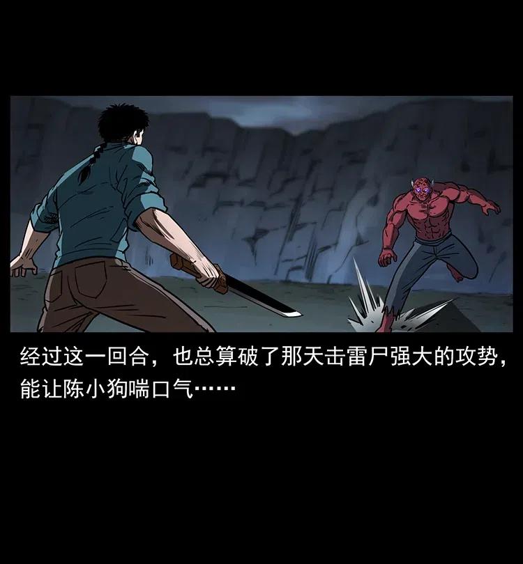 372 天击雷尸49