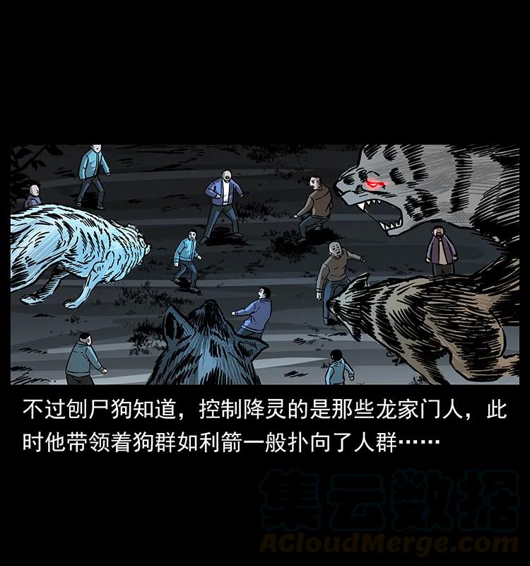 179 龙家的实力28