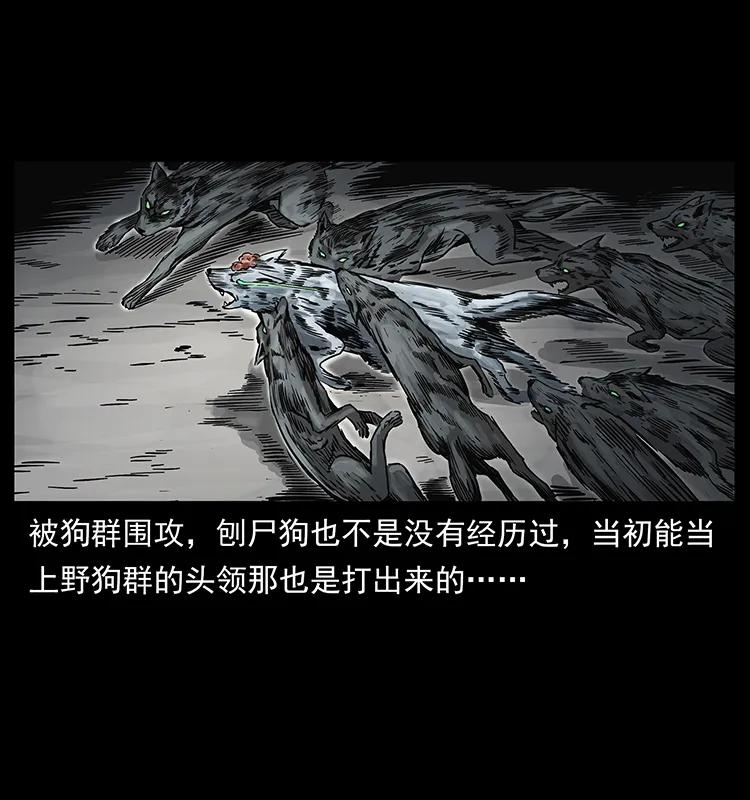 252 危机！危机9