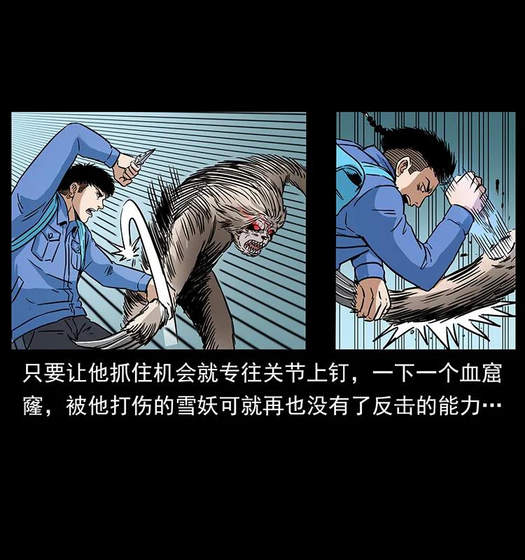 274 神族的计划66