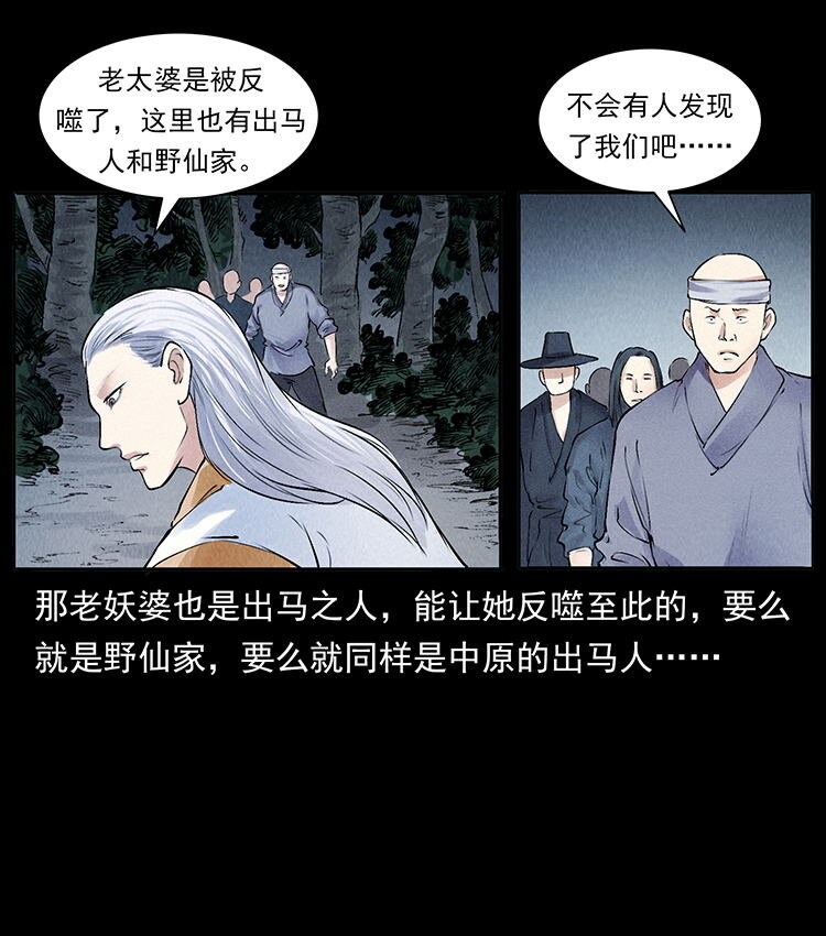 外传 洛生传4 高丽妖人8