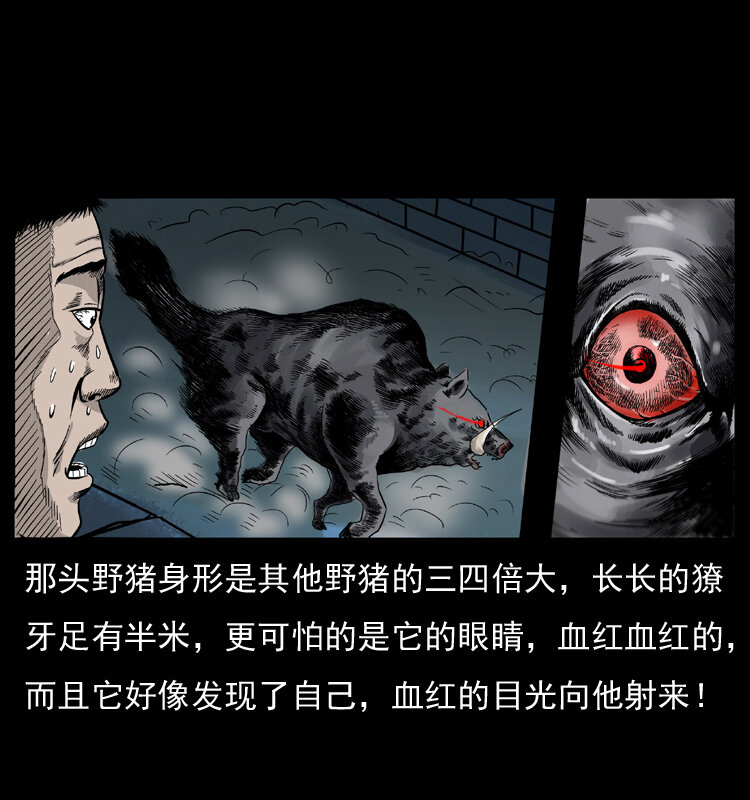 054 安徽之行77