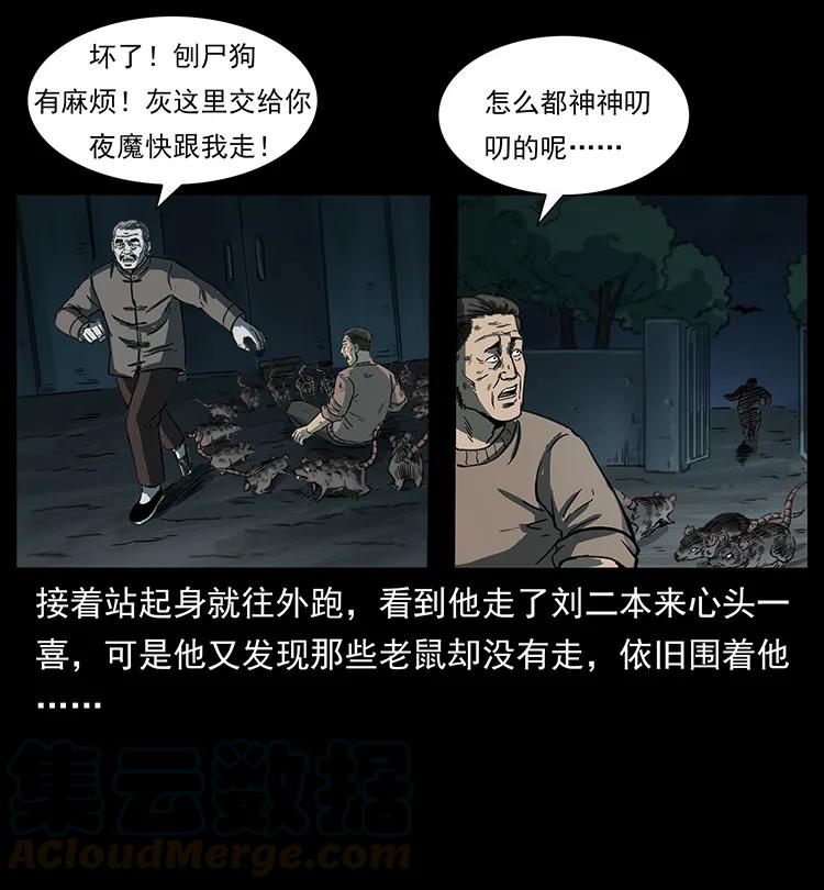 251 刨尸狗遇险60