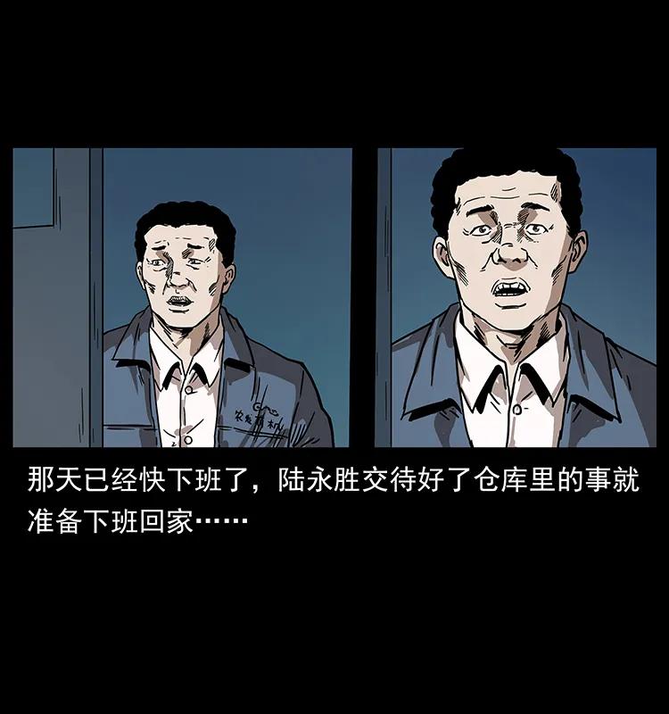 230 生桩19
