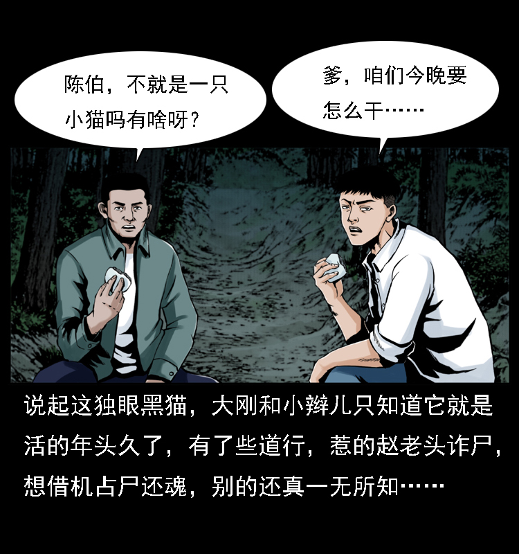 003 赵家的猫17