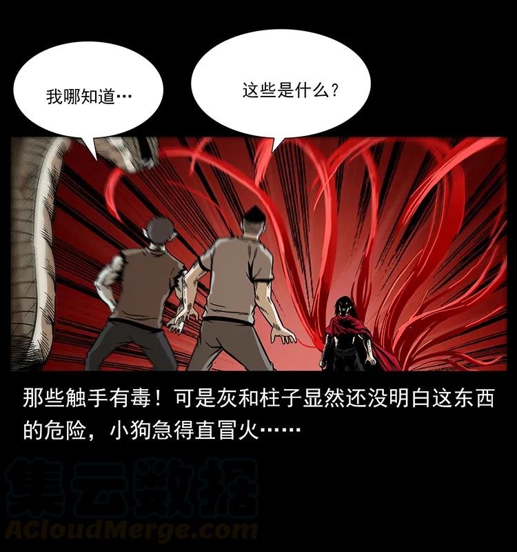 189 龙家的实力20