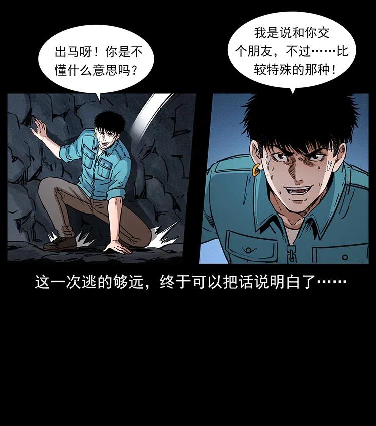 370 乌翅凤凰62