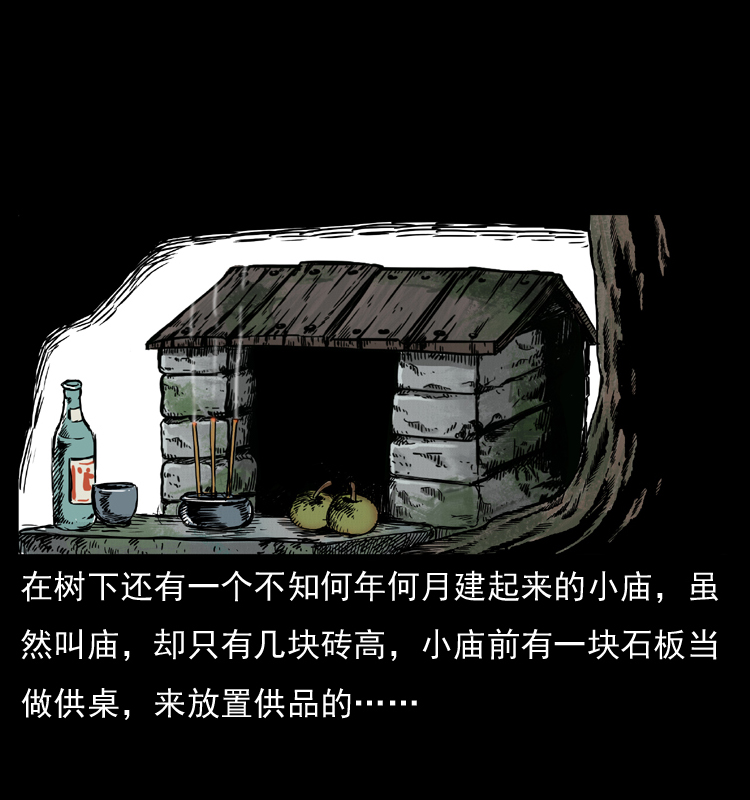 008 槐树下的小庙10