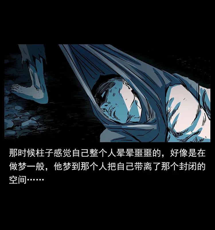 281 柱子归来！66
