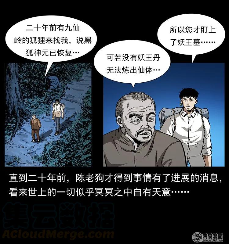 142 黑狐84