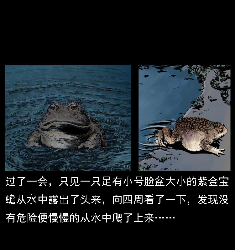 024 聚宝蟾27