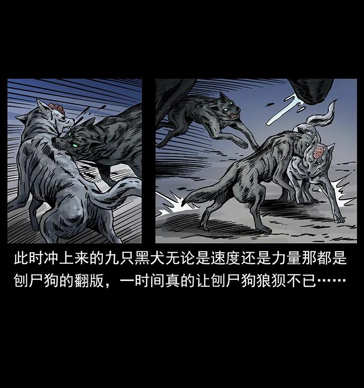 252 危机！危机3