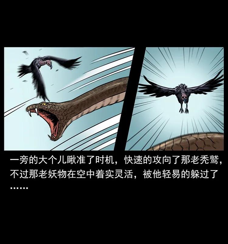 281 柱子归来！45
