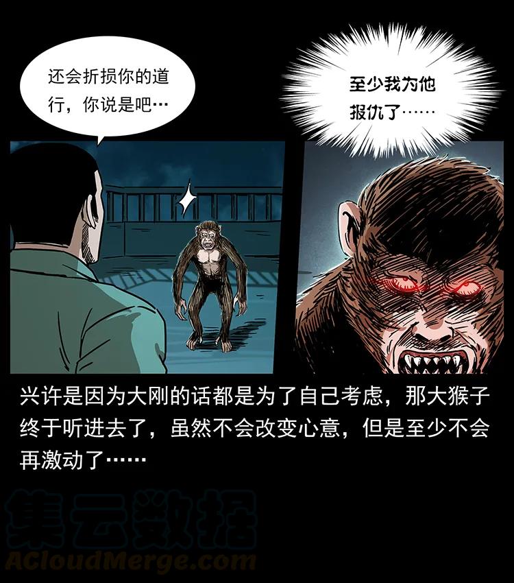 229 东海龙骨16