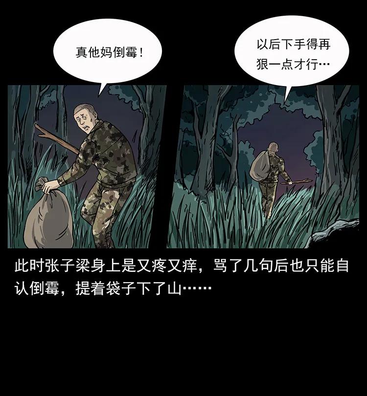 250 走失26