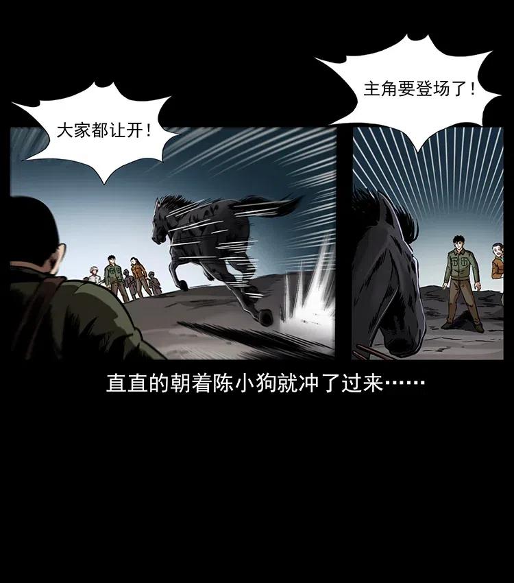 326 妖驹乌云45