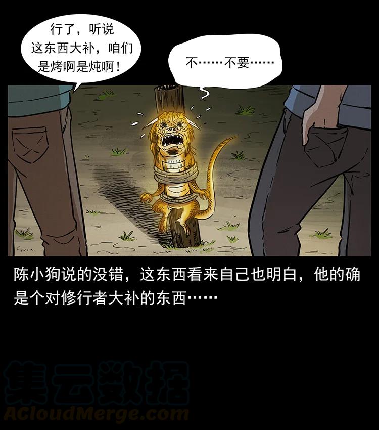 387 老大出手，天崩地裂！51