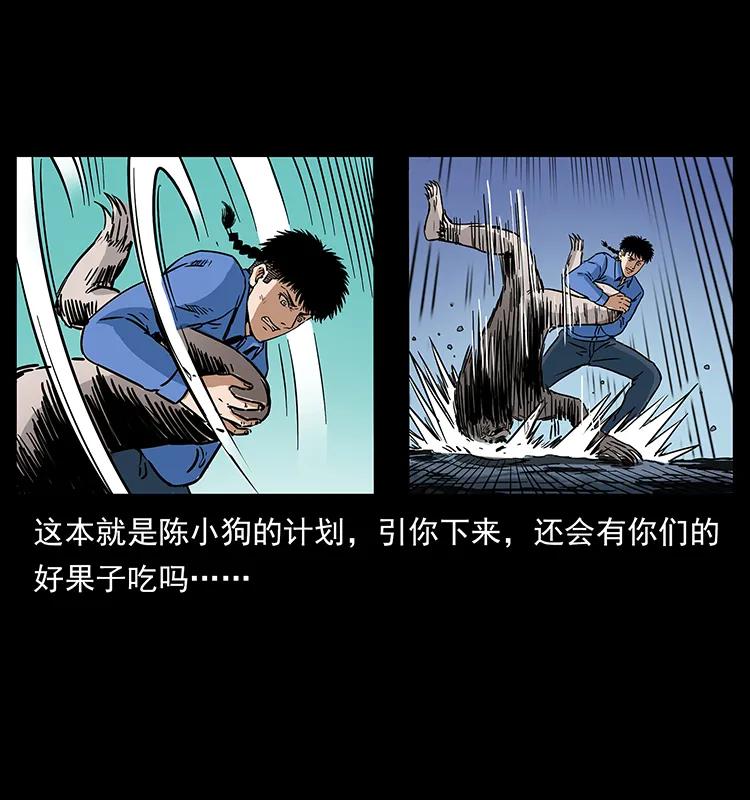 275 杀一儆百29