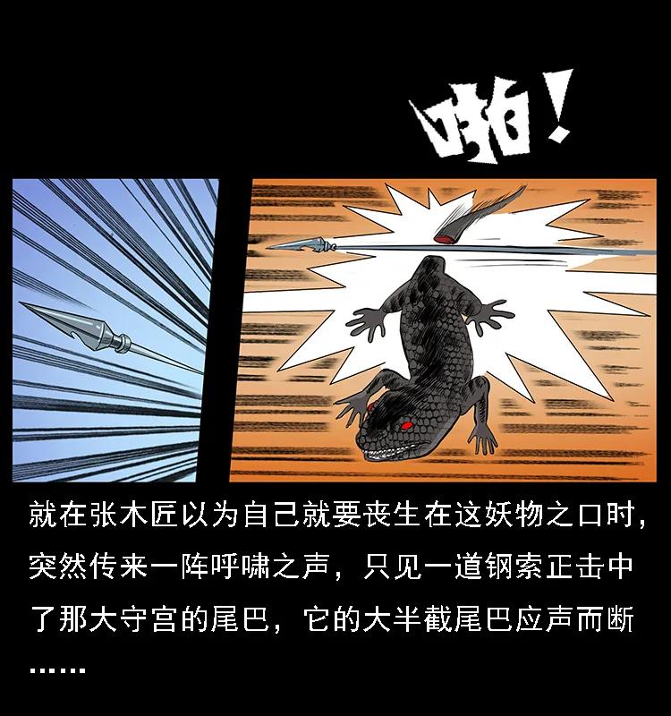 076 守宫28